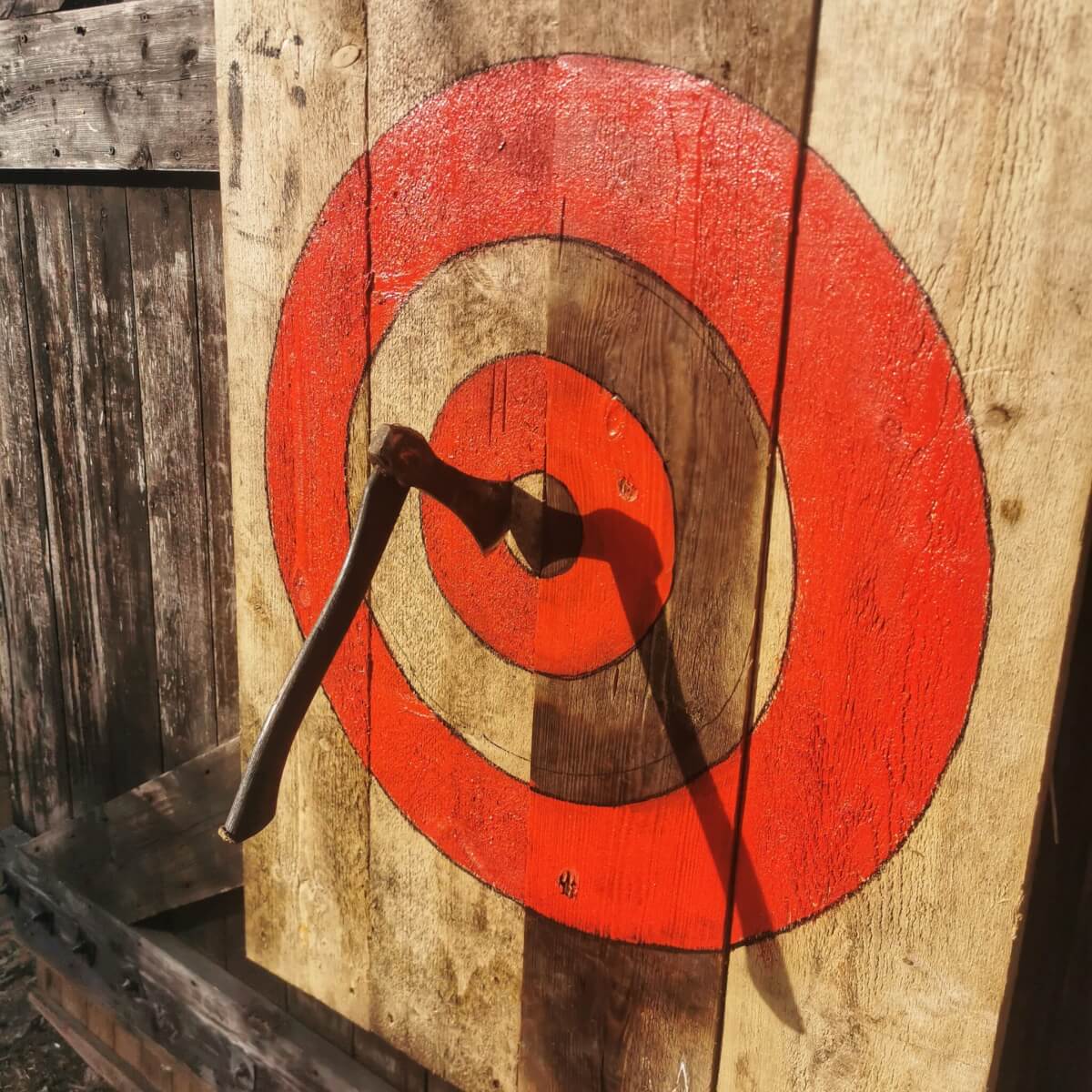 Throwing axe day Course - Image 4